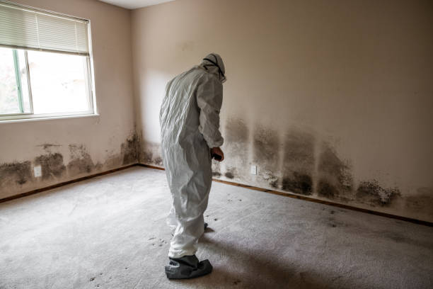 Best Mold Removal for HVAC Installations  in Keystone Heights, FL